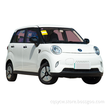 Left Hand Adult Car Chinese Vehicles High Quality Low Price In Stock New Energy Vehicle
